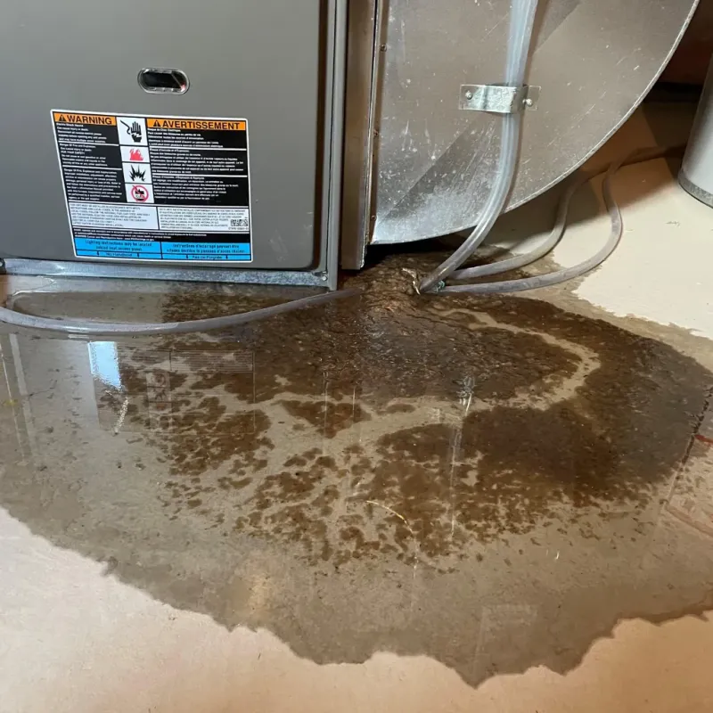 Appliance Leak Cleanup in Steele, AL